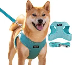 犬用ハーネス＆リードセット 超小型犬から全犬種対応 light blue, XSのサムネイル