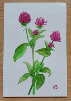 百日紅 水彩画 原画 花 植物画 アート - メルカリ