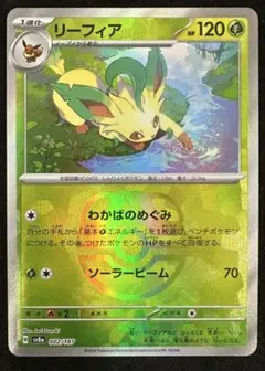 リーフィアEX：バトル強化セット 草/闘 PROMO XYシリーズプロモーショ