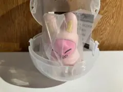 SKZOO ライトマスコット ガチャ　トゥエッキ