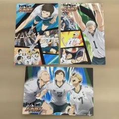 ハイキュー!! バボカ　ポストカード　3枚セット 伊達工業高校　145