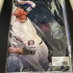 大西宏樹 ハイブリッドタオル オンラインくじ ヤクルト
