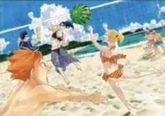 ☆ ハイキュー!!　ファンパーク　ポストカード　烏野高校　清水潔子　谷地仁花