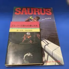 Item thumbnail for item 3aff6c57-8a47-4914-baa6-ad41697da47a