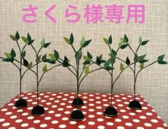 つまみ細工　七夕飾り　飾り無し笹の木6個セット【さくら様オーダー】