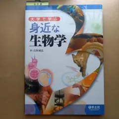 2026年最新】吉村弘の人気アイテム - メルカリ