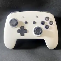 ECHTPOWER ワイヤレスコントローラー