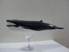 Weiβ様 リクエスト 2点 まとめ商品