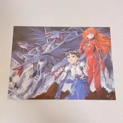 エヴァンゲリオン 限定 ポストカード 碇シンジ アスカ 量産機 y