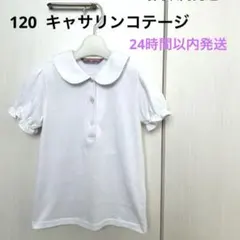 120 CATHERINE COTTAGE 半袖 白ポロシャツ 入園入学　お受験