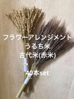 スギウラ様 リクエスト 2点 まとめ商品