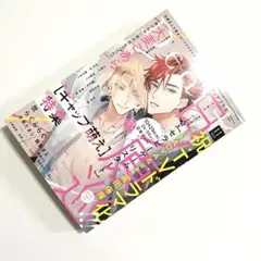 ディアプラス Dear+ 2025年11月号
