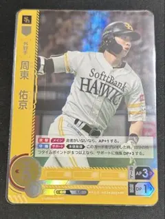 プロ野球 ドリームオーダー 日本選手権 プロモ ミートバッティング フルスイング プロ野球 ドリームオーダー 日本選手権 プロモ ミート