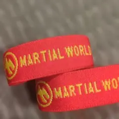 Item thumbnail for item f291f626-cbee-4e05-bfbd-2e847f813795