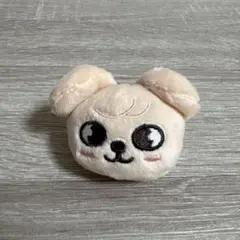 straykids スキズ ヘアゴム パピーム スンミン