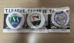 T.LEAGUE 缶バッジチャンスくじ 2026 Tリーグ - メルカリ