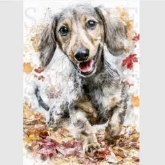 A07 落ち葉と遊ぶ ダックスフンド 水彩画風 犬 絵 ポスター インテリア