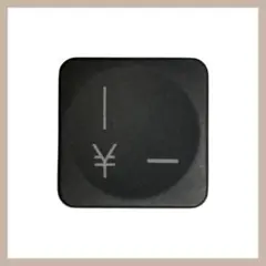 ロジクール 日本語 テンキー MX KEYS for ビジネス 「¥、ー」キー