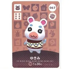 あつまれどうぶつの森 amiibo あつ森 アミーボカード ゆきみ