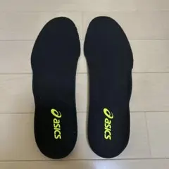 asics DS LIGHT ADVANCE WIDE インソール　27.5cm