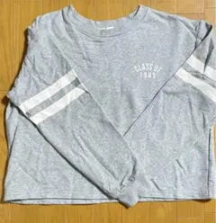 裏起毛 スウェット