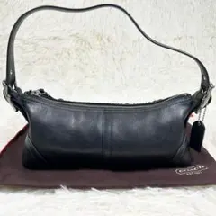 美品✨コーチ オールレザー アクセサリーポーチ　ハンドバッグ 小物入れ レザー