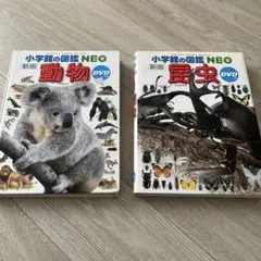 小学館の図鑑　昆虫、動物　DVD付
