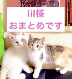 lil様 リクエスト 3点 まとめ商品