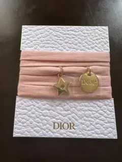 Dior ディオール ノベルティ ブレスレット チョーカー