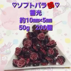 ソフトバラ　50g　約200個　約10㎜×5㎜　　 蓄光　赤×黒　デコパーツ