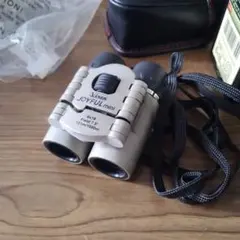 Item thumbnail for item c6390dd4-201a-41fc-8103-9325db92e89c