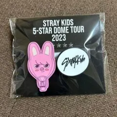 Stray Kids】スキズ SKZOO VICTORY 缶バッチ チャンビン - メルカリ