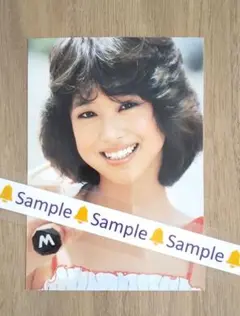 当時物・大判】松田聖子 生写真 3枚セット 14×9cm KODAK 昭和 - メルカリ