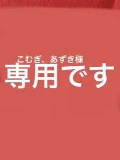 専用です‼️