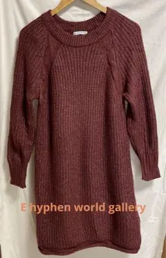 E hyphen world gallery ニットワンピース