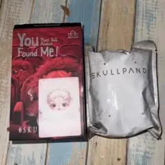 SKULLPANDA You Found Me!
