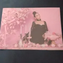 安室奈美恵 Finally 京セラドーム大阪 クリアファイル