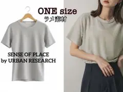 アーバンリサーチ / クルーネックラメTシャツ / 半袖 / 洗えるのサムネイル