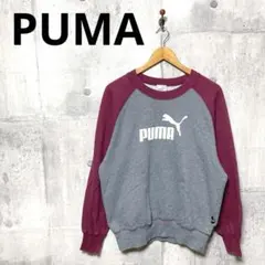 トレーナー ラグラン