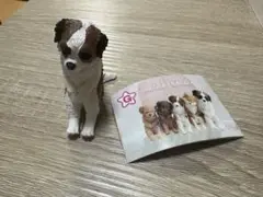 いっしょにねんね 犬 ガチャガチャ フィギュア セントバーナード