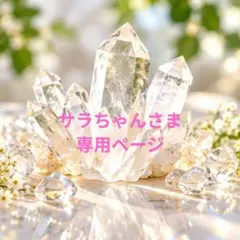 サラちゃんさま　専用ページ