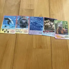 【鳥羽水族館】コレクションカード vol.2 まとめ売り5枚