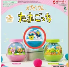 たまごっち　カプセリウム　まめっち&みみっち