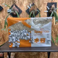 水One Mile Moss ニュージーランド産5A 3kg - メルカリ