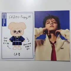 karma skzoo スキズ プロフィールカード スンミン