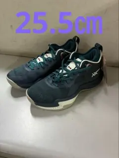 今日のゲリラ価格NOVA SURGE LOW 2 300カラー 27.5㎝ - メルカリ