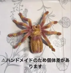 モールアート タランチュラ 蜘蛛 クモ ハンドメイド