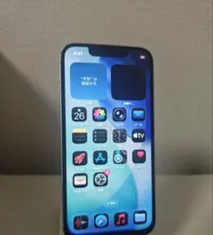 Item thumbnail for item c4b686b5-e0db-4ec5-9be4-9cbfa3830417