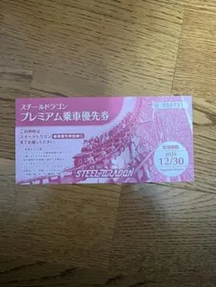 ナガシマスパーランド スチールドラゴン優先券のサムネイル