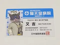ワンタメ カード ゲストカード 猫 - メルカリ